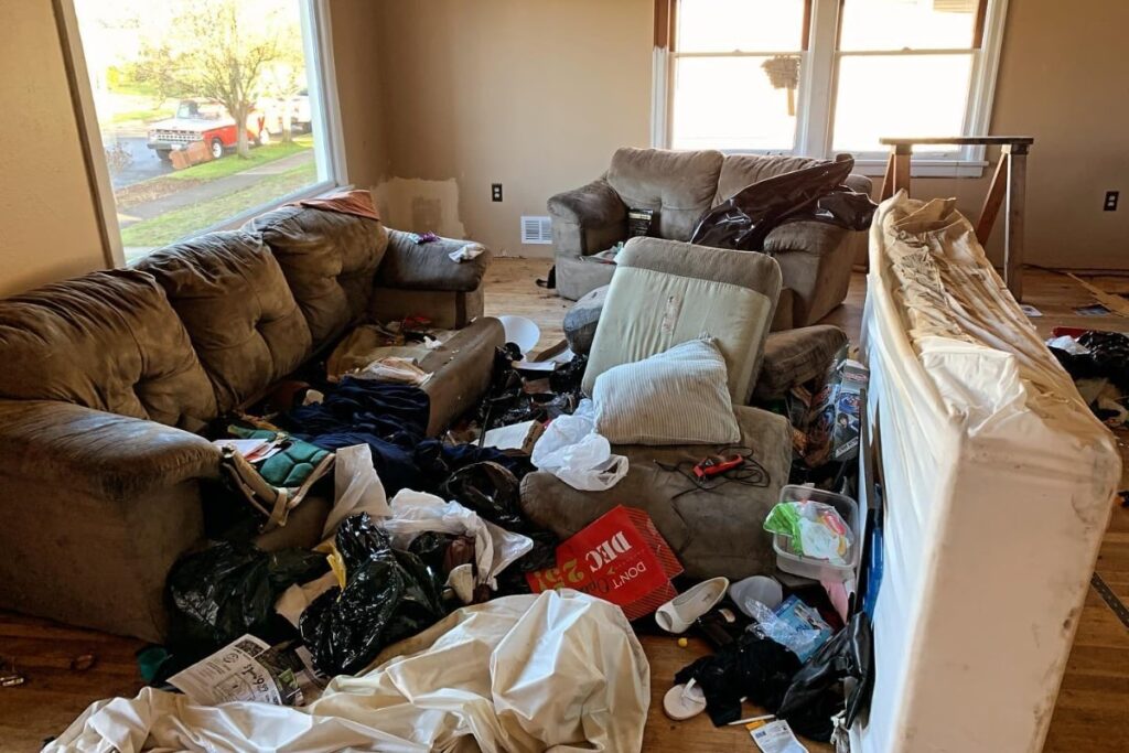 hoarding cleanup